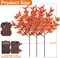 30 Inch Fall Lighted Branches - 3Pcs with 60 LED Lights, 120 Leaves